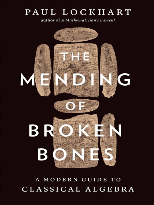 Title details for The Mending of Broken Bones by Paul Lockhart - Wait list